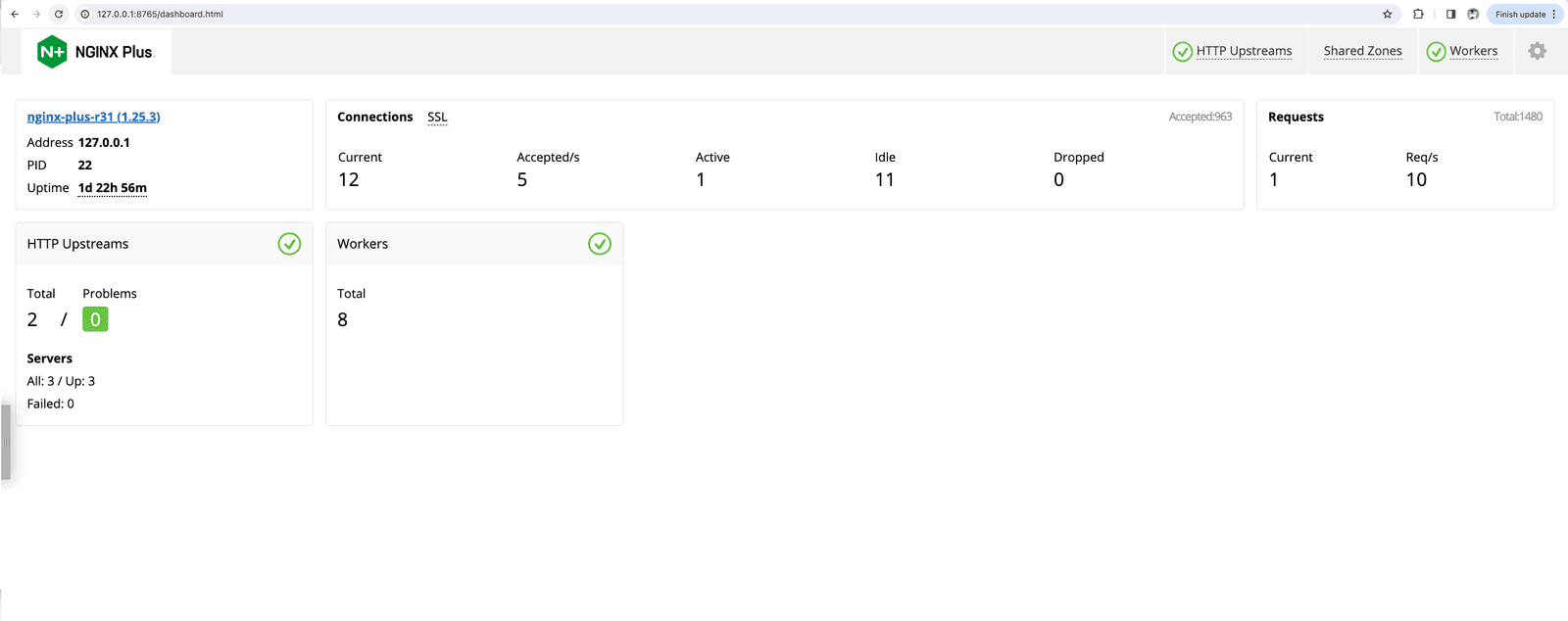 NGINX Plus Dashboard