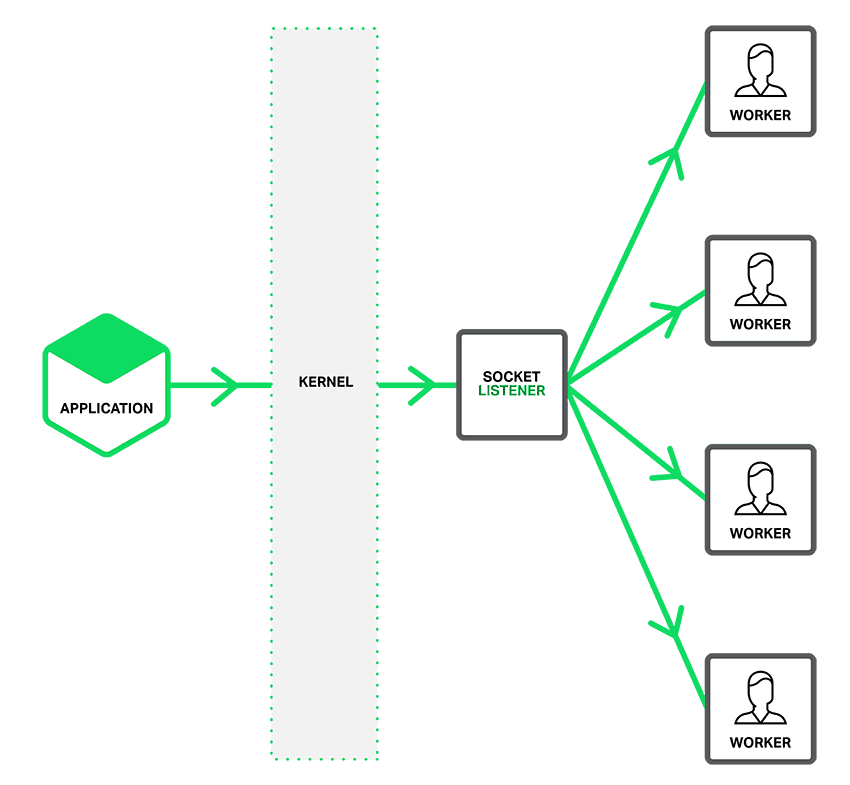 SO_REUSEPORT option is not enabled