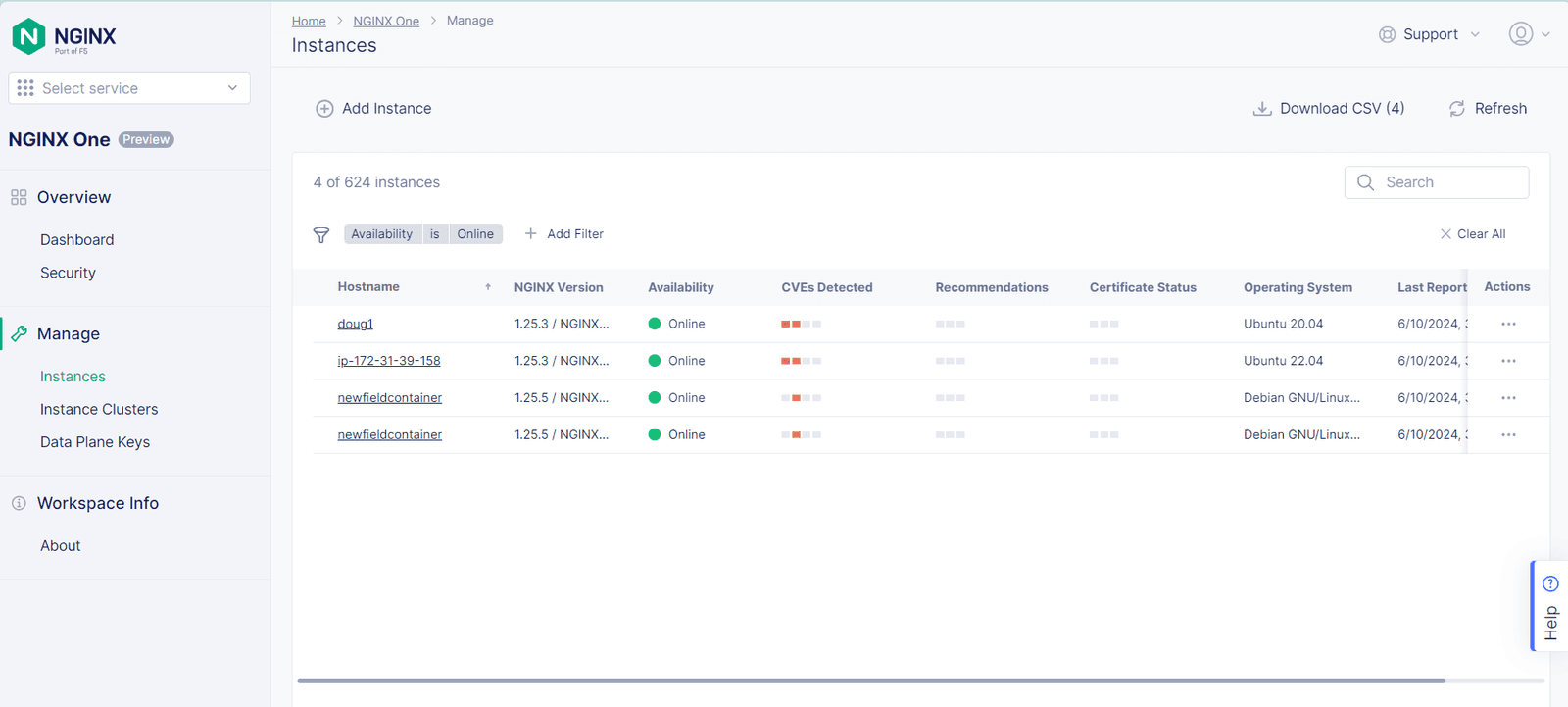 NGINX One instances manager