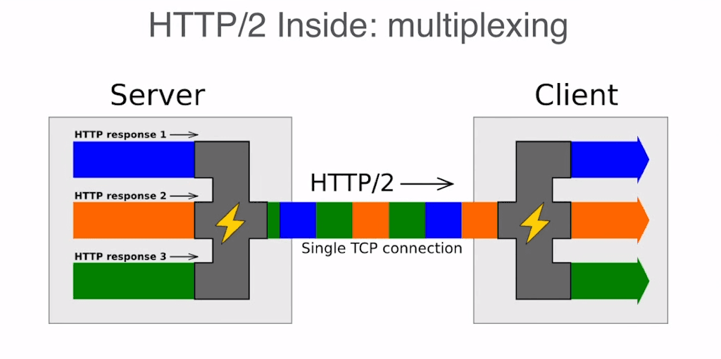 HTTP/2 multiplexes requests and responses over a single connection
