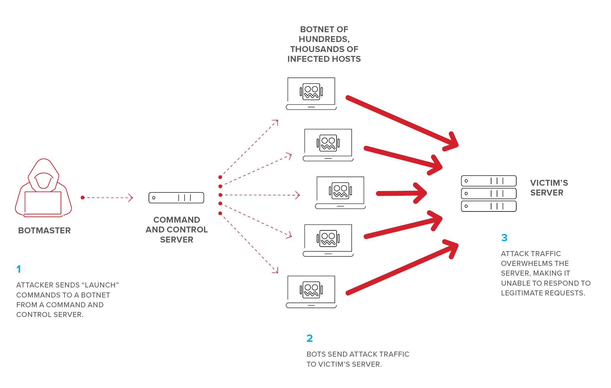To launch DDoS attacks, attackers use botnets