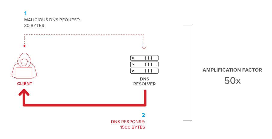 Figure 2. A specially crafted DNS request could return a response that’s 100 times larger
